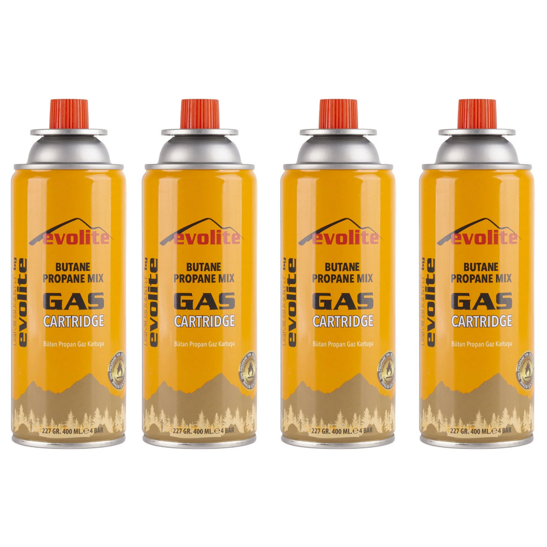 EVOLITE - GAZ KARTUŞU (VİDALI KARTUŞ) 4\'LÜ SET - 227 GR